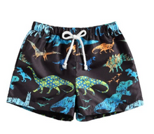 Load image into Gallery viewer, Boys and Toddlers Dinosaur and Turtle Print 2-PC Swim Trunk Set by Just Relax and Live!
